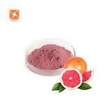 Grapefruit Extract Powder Manufacturer - High Quality Natural Supply