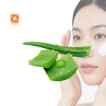 Aloe Vera Extract - Factory Supply 10%/20%/98% Aloin Leaf Powder