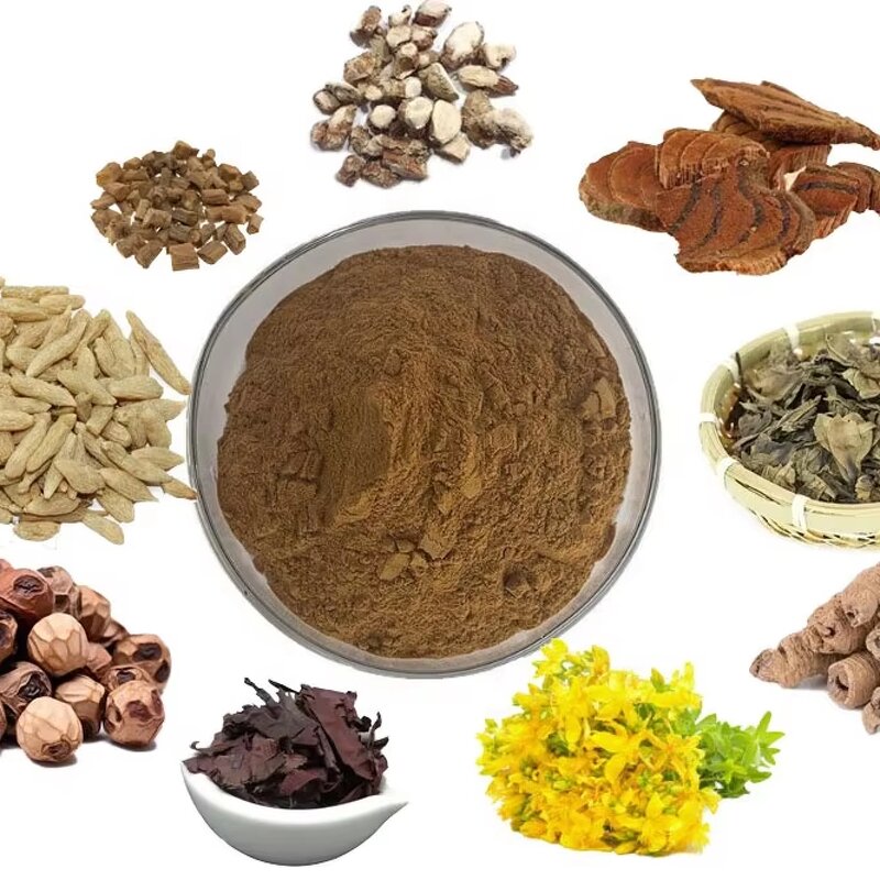 Herbal Extract Powder - Factory Supply Food Grade Natural Chinese Herb Supplement