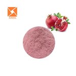Pomegranate Juice Powder - OEM Food Grade Spray Dried High Quality Extract