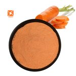 Beta Carotene Powder - Natural Colorant Carrot Extract 1% Natural Supply