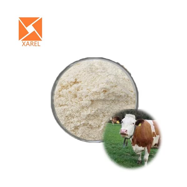 Whey Protein Powder - Bodybuilding Supplement WPC 80% Concentrate