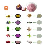 Mangosteen Juice Powder - Food Grade Natural Organic Pink Color Fruit Extract