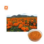 Zeaxanthin Extract - Natural Eye Improvement 5%/20%/80%/90% Powder