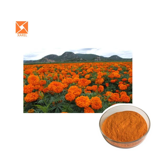 Zeaxanthin Extract - Natural Eye Improvement 5%/20%/80%/90% Powder