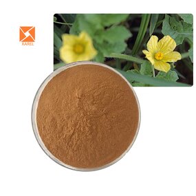 Fadogia Agrestis Extract - Factory Supply 50:1 Energy Improve Powder