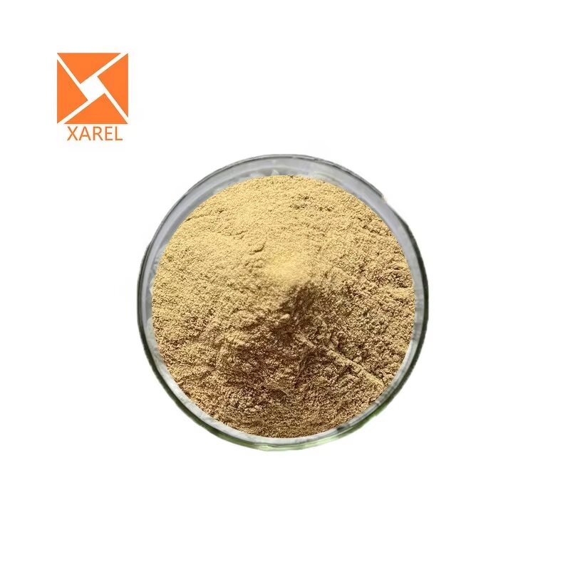 Chromium Enriched Yeast - Functional Food Additive Natural Supplement Powder