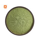 Cabbage Juice Powder - Pure Nature Organic Spray Dried Dehydrated Green Powder