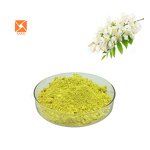Quercetin Powder - Herbal Vitamin P Sophora Japonica Extract 95% Pure Powder