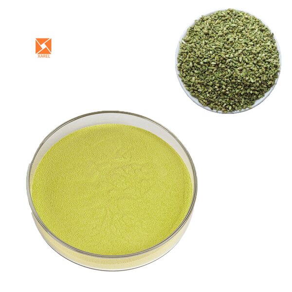 Rutin Powder - Herbal Quercetin Sophora Japonica Extract 95% Pure Powder