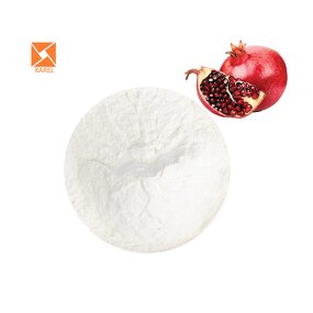 Pomegranate Bark Extract - OEM Cosmetic Material 98% Ellagic Acid Powder