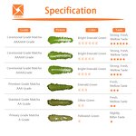 Matcha Powder Manufacturer - Wholesale Organic Ceremonial Grade Instant Green Tea 1kg