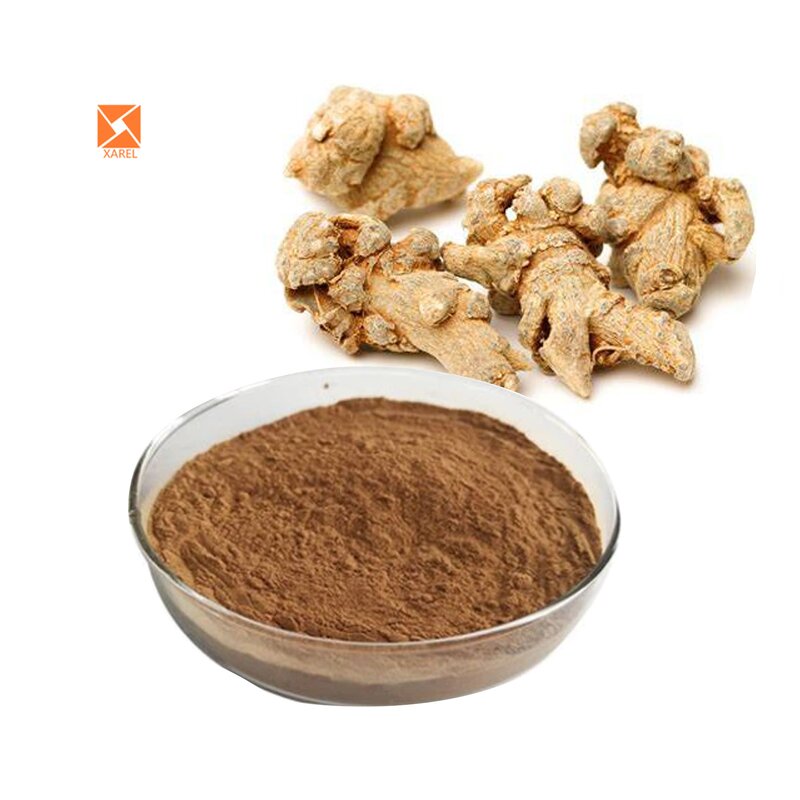 Panax Notoginseng Extract - Pure Natural Triterpenes San Qi Root Powder