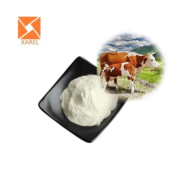 Bovine Colostrum Powder - Hot Sell Bulk High Quality Price