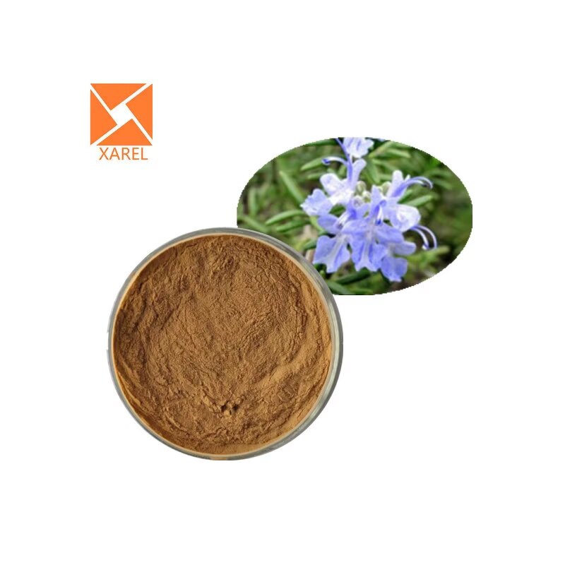 Rosemary Extract - Natural Halal High Quality 5% Rosmarinic Acid Powder