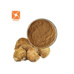 Lion's Mane Mushroom Extract - Factory Supply Hericium Erinaceus Supplement Powder