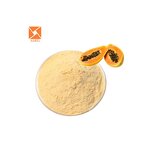 Papaya Extract - High Quality Factory Supply Papain Enzyme Lyophilized Powder