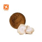 Lion's Mane Mushroom Extract - Factory Supply Hericium Erinaceus Supplement Powder