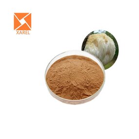 Lion's Mane Mushroom Extract - Factory Supply Hericium Erinaceus Supplement Powder