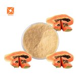 Papaya Extract - High Quality Factory Supply Papain Enzyme Lyophilized Powder