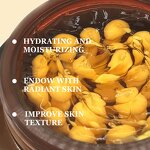 PDRN Face Cream Manufacturer - Pink Collagen Korean Skincare & OEM/ODM