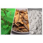 NMN Resveratrol Capsules Manufacturer - Polygonum Cuspidatum Extract Anti-Aging & Private Label