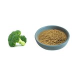 Black Bean Peel Extract Manufacturer - 25% Anthocyanins & Factory Price