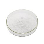 L-Theanine Powder Manufacturer - 98% 99% Green Tea Extract Natural & Bulk Factory