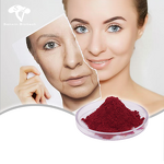 PQQ Powder Manufacturer - Pyrroloquinoline Quinone Bulk Supplements & OEM Supply