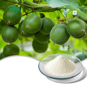 Mogroside Powder Manufacturer - 25% Luo Han Guo Extract Sweeteners & Bulk Supply