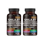 Shilajit Capsules Manufacturer - Resin Extract with Cordyceps Ginseng & Factory Supply