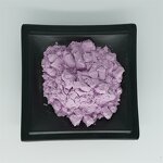 Grape Fruit Powder Manufacturer - 100% Fresh Juice Extract Powder & Factory