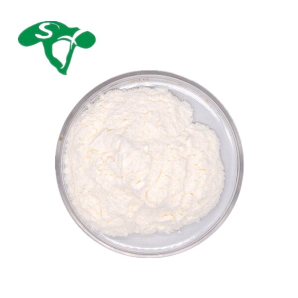 Ceramide Powder Manufacturer - Phytoceramides Cosmetic Grade Pure & Bulk Price
