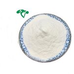Grape Seed Extract Powder Manufacturer - 50% Polyphenols OPC & High Quality