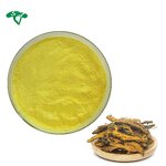 Soy Isoflavone Powder Manufacturer - 20% 90% 98% Soybean Extract CAS 574-12-9