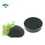 Chlorophyll Copper Sodium Salt Manufacturer - Mulberry Leaf Extract & Food Coloring