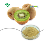 Kiwi Fruit Powder Manufacturer - Organic Natural Vitamin C & High Quality