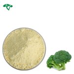 Black Bean Peel Extract Manufacturer - 25% Anthocyanins & Factory Price