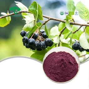 Pea Fiber Powder Manufacturer - 85% Dietary Fiber Organic & Food Grade