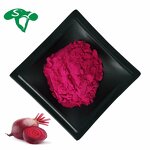 Beet Root Extract Powder Manufacturer - 100% Vitamin B9 & Sanxin Factory Supply