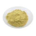 Panax Notoginseng Saponins Powder Manufacturer - 30% Natural High Quality