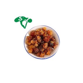 Gum Arabic Manufacturer - Natural Bulk Hot Sale & Factory Supply Custom
