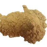 Beta-Glucanase Powder Manufacturer - Food Grade Enzyme & Manufacturer Supply