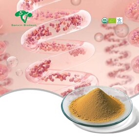 Liposomal Folate Manufacturer - Folic Acid for Fertility Supplements & Factory Supply