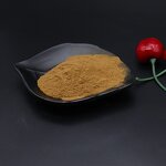 Tribulus Terrestris Powder Manufacturer - 30% Liposomal Saponins & Wholesale