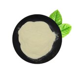 Panax Notoginseng Saponins Powder Manufacturer - 30% Natural High Quality