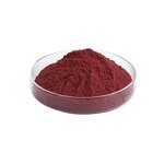 Grape Fruit Powder Manufacturer - 100% Fresh Juice Extract Powder & Factory