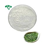 L-Theanine Powder Manufacturer - 98% 99% Green Tea Extract Natural & Bulk Factory