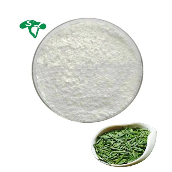 L-Theanine Powder Manufacturer - 98% 99% Green Tea Extract Natural & Bulk Factory