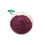 Pea Fiber Powder Manufacturer - 85% Dietary Fiber Organic & Food Grade